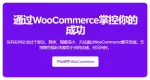 WooCommerce 11.0.26 谷歌产品推送插件