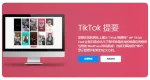 集成TikTok 视频插件 Pro 4.3.5 – WordPress 插件