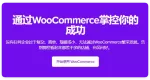 WooCommerce 11.0.26 谷歌产品推送插件