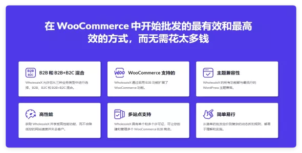 WholesaleX Pro 1.4.6 – 适用WooCommerce B2B 多合一批发插件