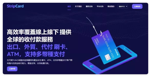 有趣钱包系统，虚拟卡、礼品卡为企业家和初创用户跨境电商业务提供服务（已汉化）