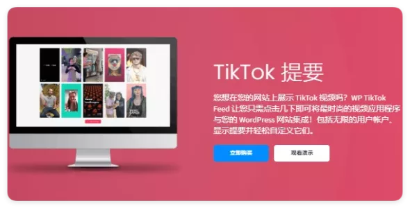 集成TikTok 视频插件 Pro 4.3.5 – WordPress 插件