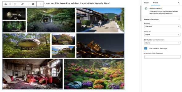 Meow Gallery Pro 5.3.7 喵画廊专业版 WordPress插件