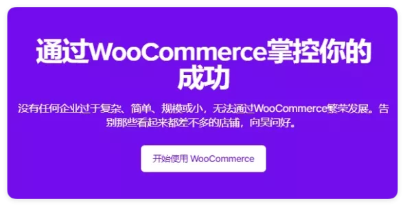 WooCommerce 11.0.26 谷歌产品推送插件