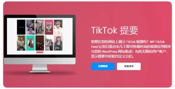 集成TikTok 视频插件 Pro 4.3.5 – WordPress 插件