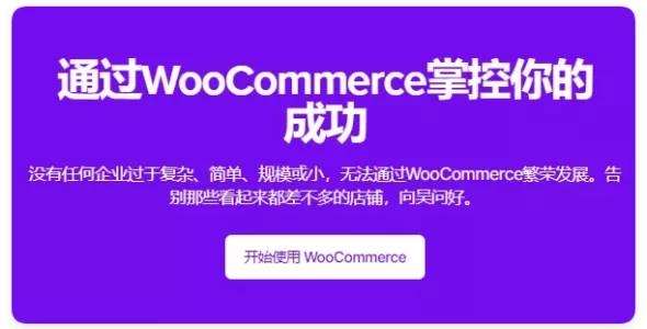 WooCommerce 11.0.26 谷歌产品推送插件