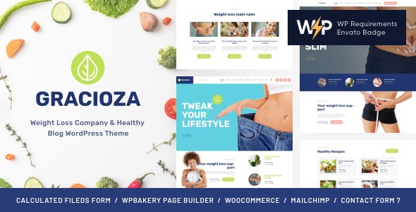 Gracioza 1.0.15 – 减肥诊所与健康博客 WordPress 主题