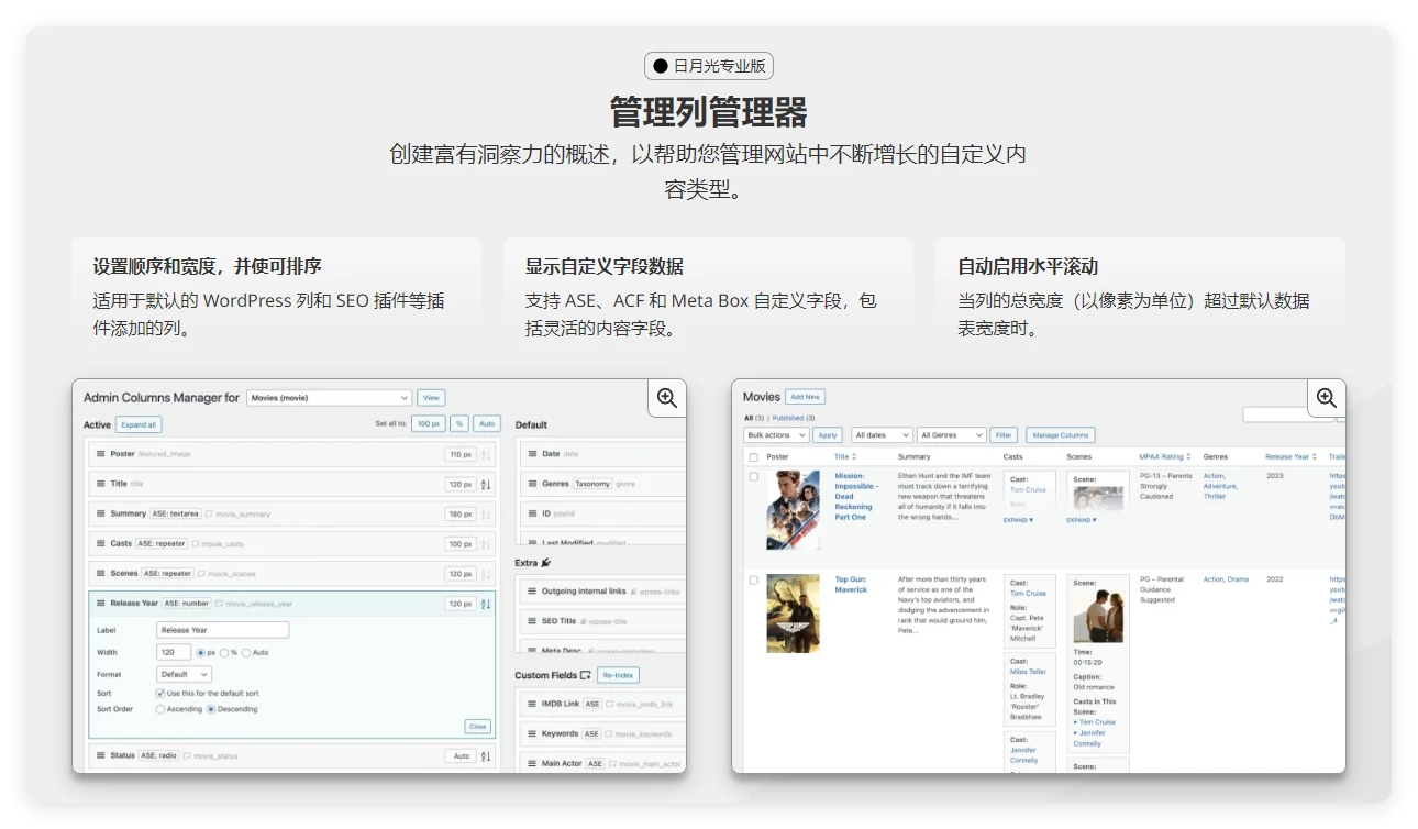 WordPress 管理和站点增强插件(ASE)Pro 开心版 8.0.6 WordPress 管理和站点增强插件(ASE)Pro 开心版 8.0.6