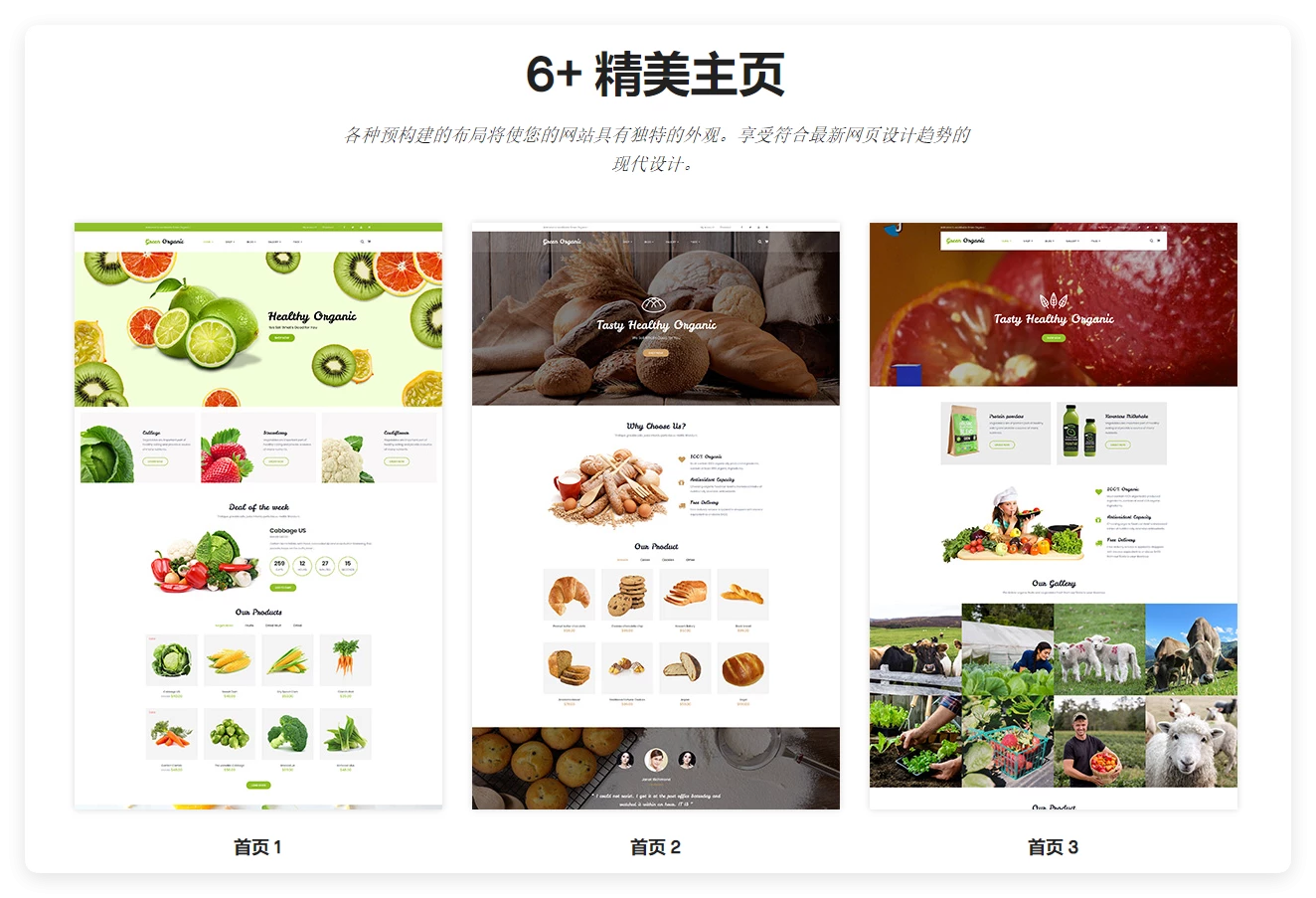 Greenorganic 2.48 – 绿色有机食品蔬菜类 响应式 WooCommerce 主题 Greenorganic 2.48 – 绿色有机食品蔬菜类 响应式 WooCommerce 主题