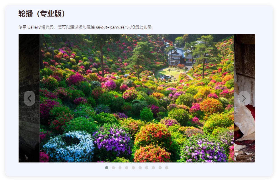 Meow Gallery Pro 5.3.7 喵画廊专业版 WordPress 插件 Meow Gallery Pro 5.3.7 喵画廊专业版 WordPress 插件